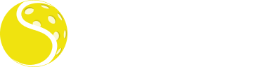 SwingVision